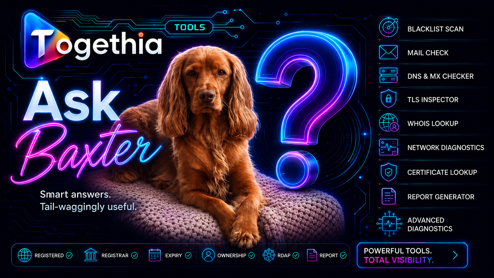 Ask Baxter by Togethia — smart, tail-waggingly useful tools