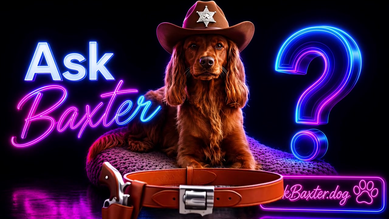 Baxter wearing a cowboy hat and Sheriff badge beside the Ask Baxter neon sign